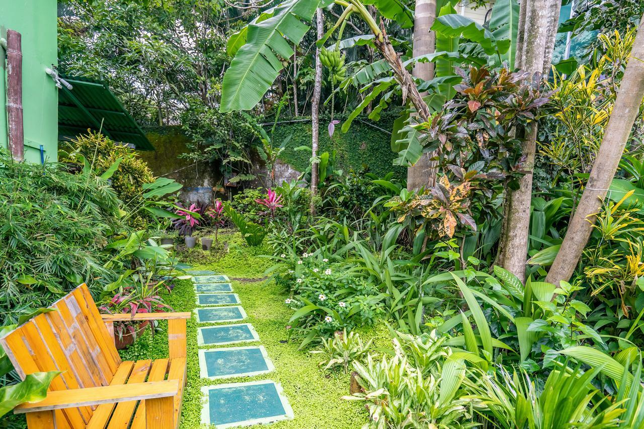 Peace Of Paradise Free Park Tour & Free Breakfast